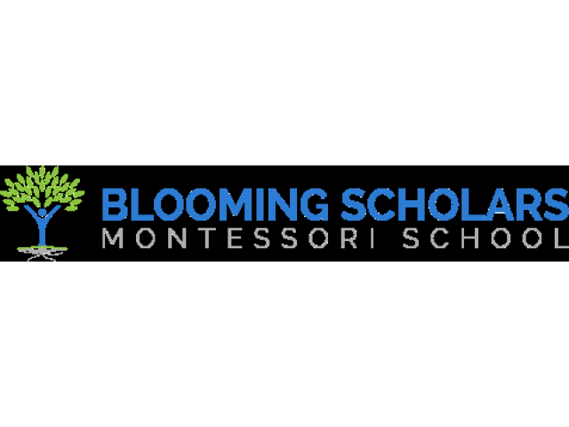 https://bloomingmontessori.com/